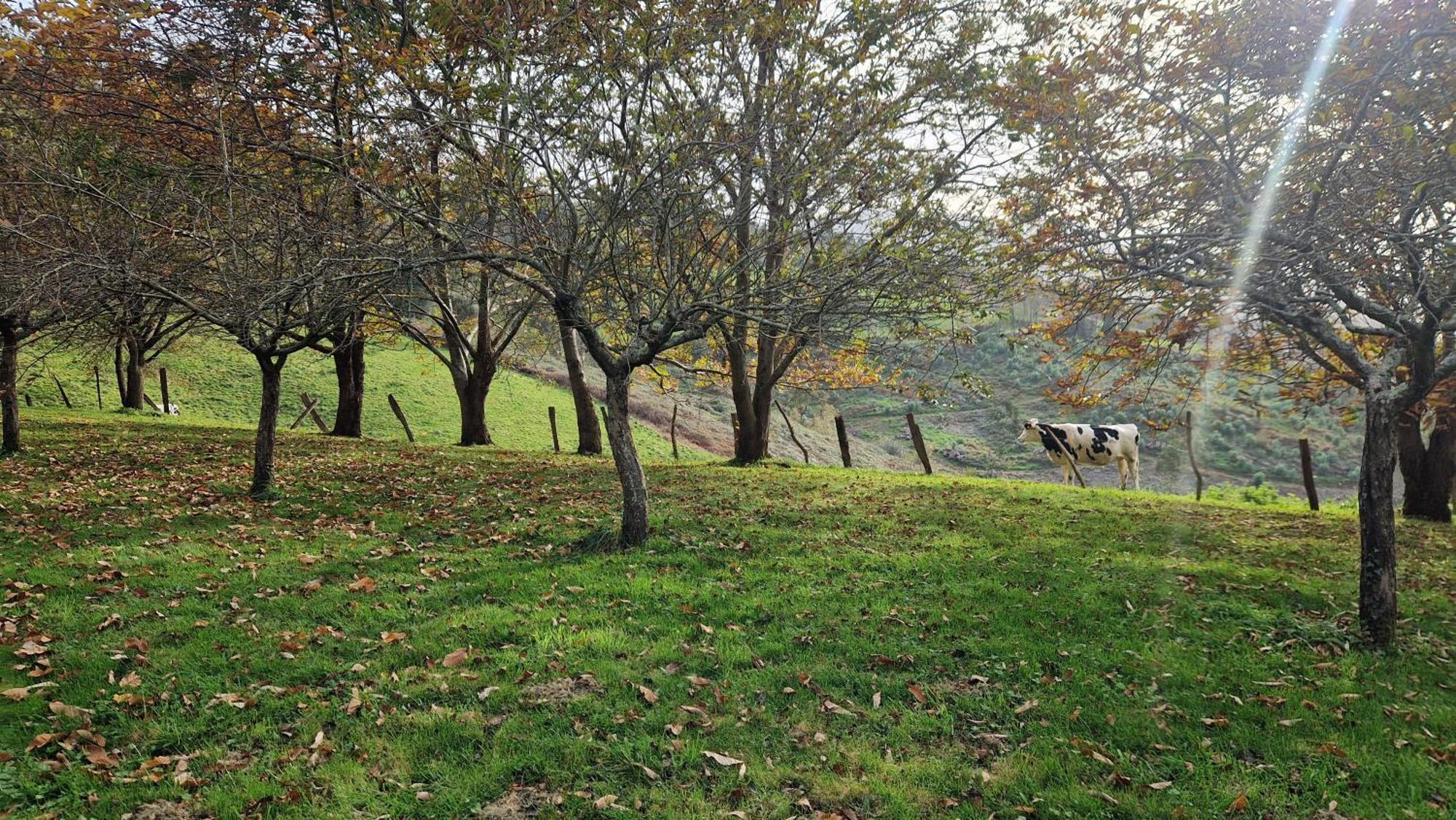 Casa Bezales En Ampuero Cantabria Luaran gambar
